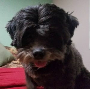 Meet your Posher, Kim